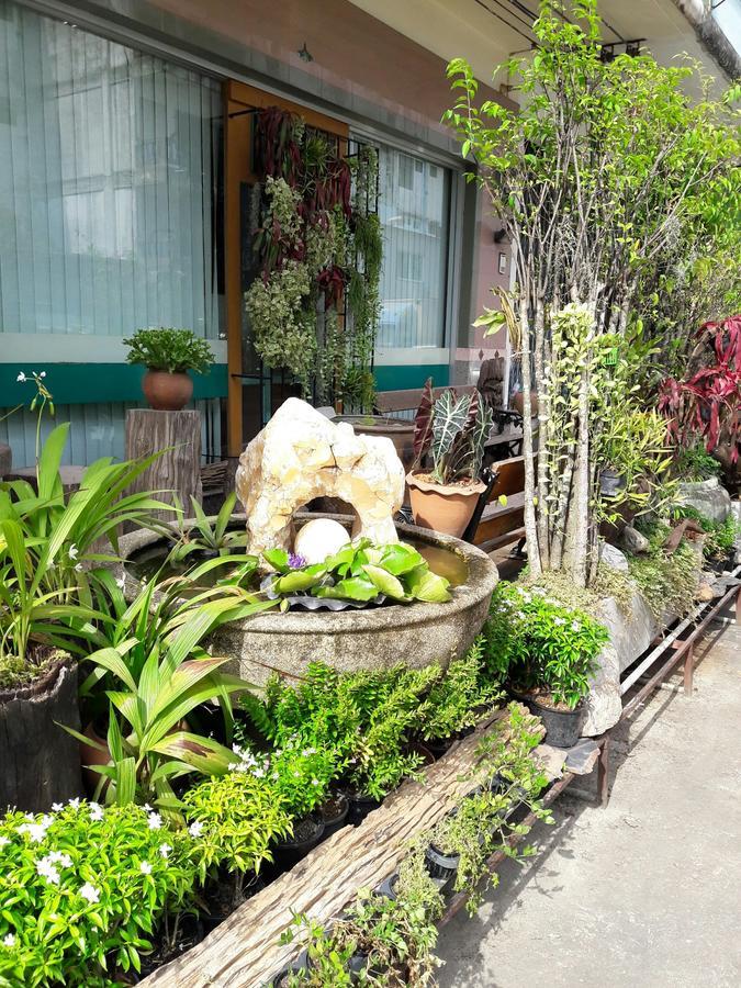 Muang Khon Guest House Nakhon Si Thammarat Ngoại thất bức ảnh